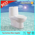 China Hersteller One Piece Dusche Toilette